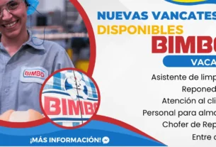bimbo